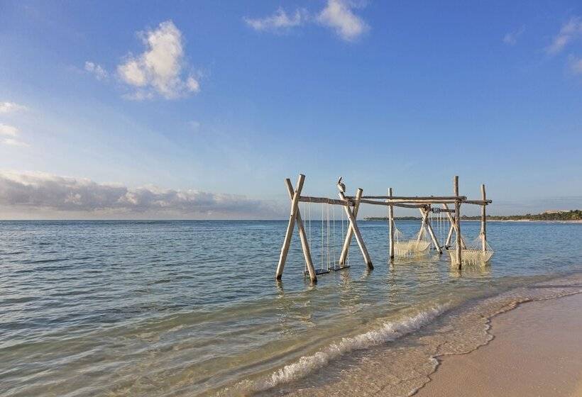 فندق El Dorado Seaside Suites Catamarán, Cenote & More Inclusive