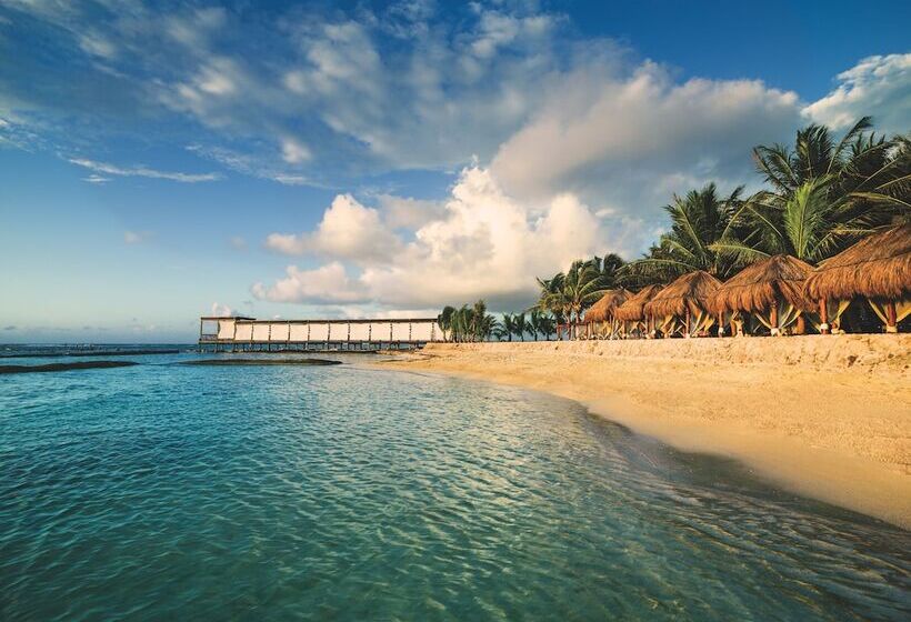 فندق El Dorado Seaside Suites Catamarán, Cenote & More Inclusive
