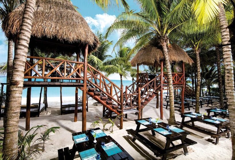 فندق El Dorado Seaside Suites Catamarán, Cenote & More Inclusive