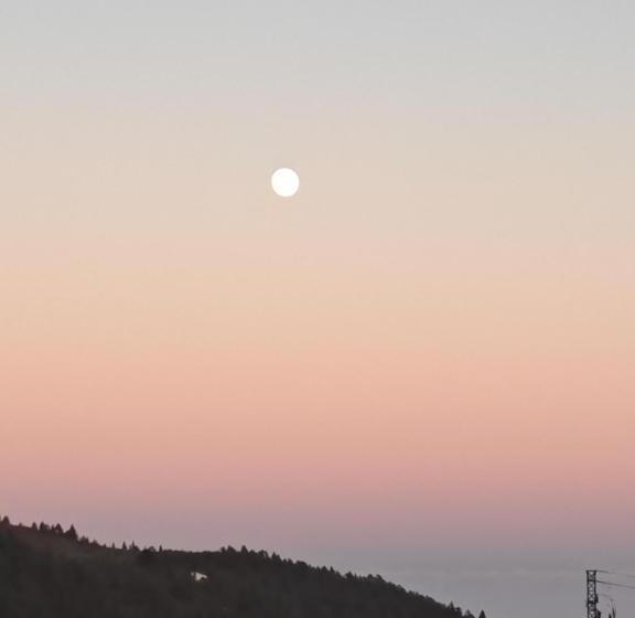 호텔 El Sombrerito