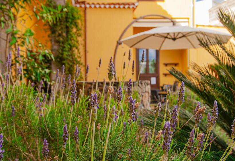 Отель El Tejar & Spa