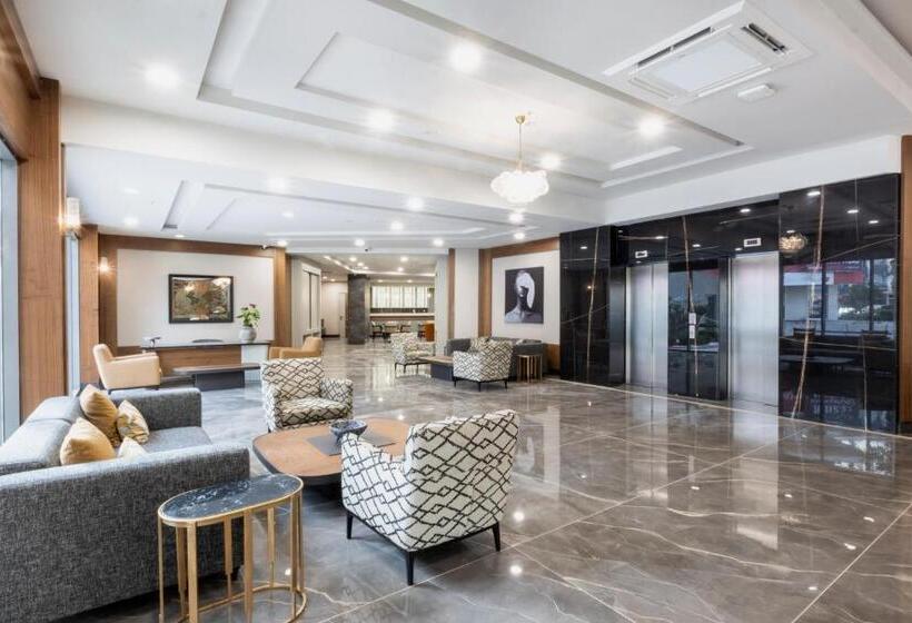 Отель Elysee Rive