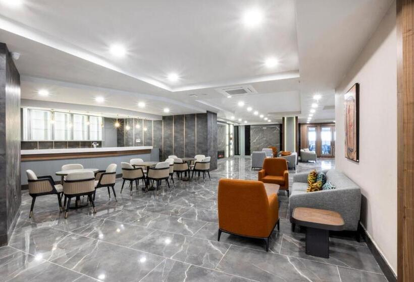 Отель Elysee Rive