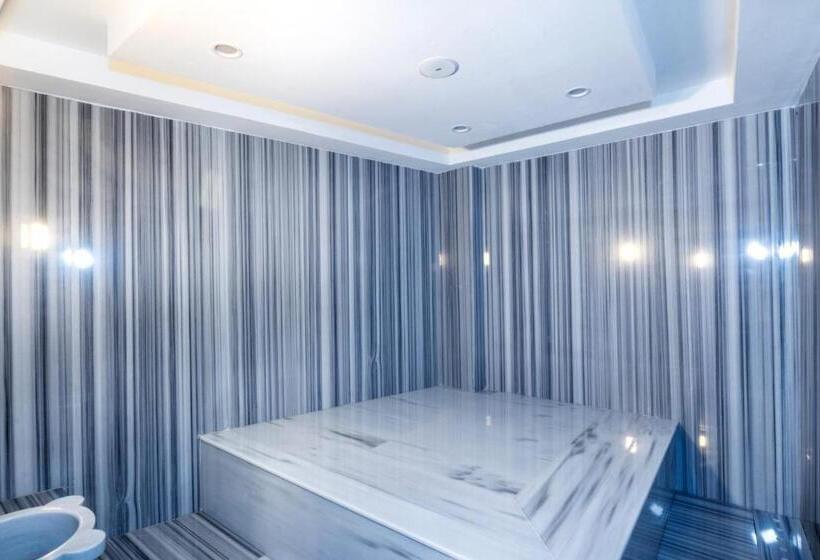 Отель Elysee Rive