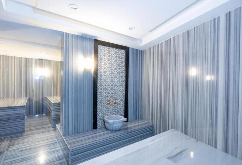 Отель Elysee Rive