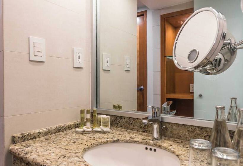 ホテル Eurostars Zona Rosa Suites