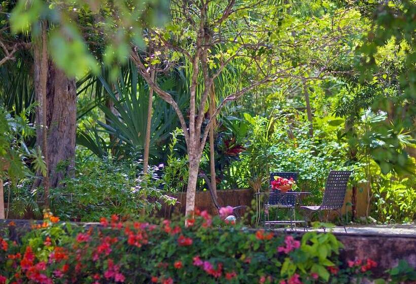 בית מלון כפרי Hacienda Santa Rosa De Lima