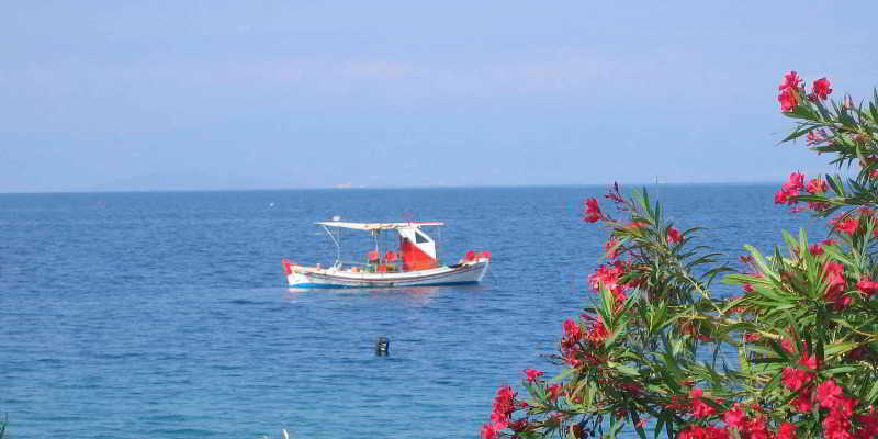 בית מלון כפרי Holidays in Evia