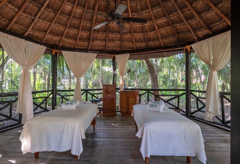 فندق Iberostar Waves Cozumel - All Inclusive