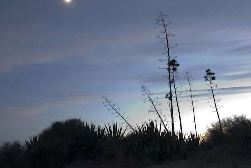 호텔 La Posada De Paco