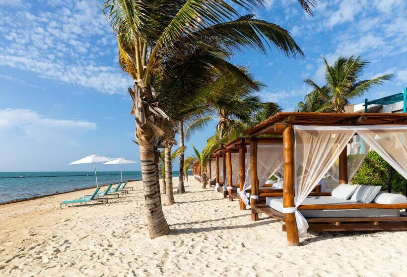 هتل Margaritaville Island Reserve Riviera Cancún A Karisma - All Inclusive Experience For All