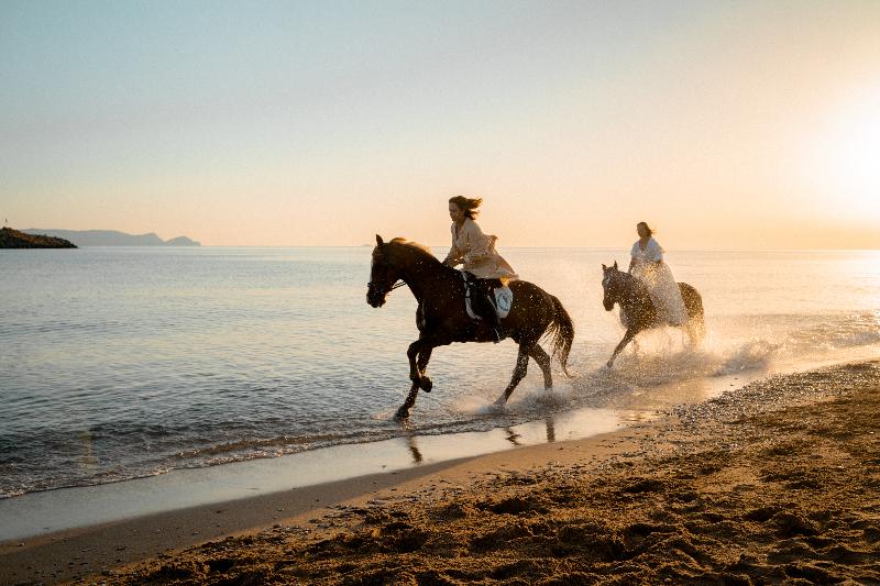 酒店 Mitsis Rinela