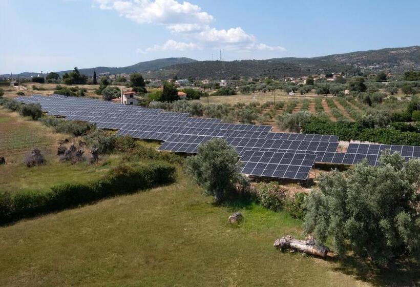 هتل Negroponte Resort Eretria