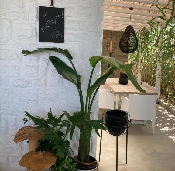 Отель Ostraco Suites