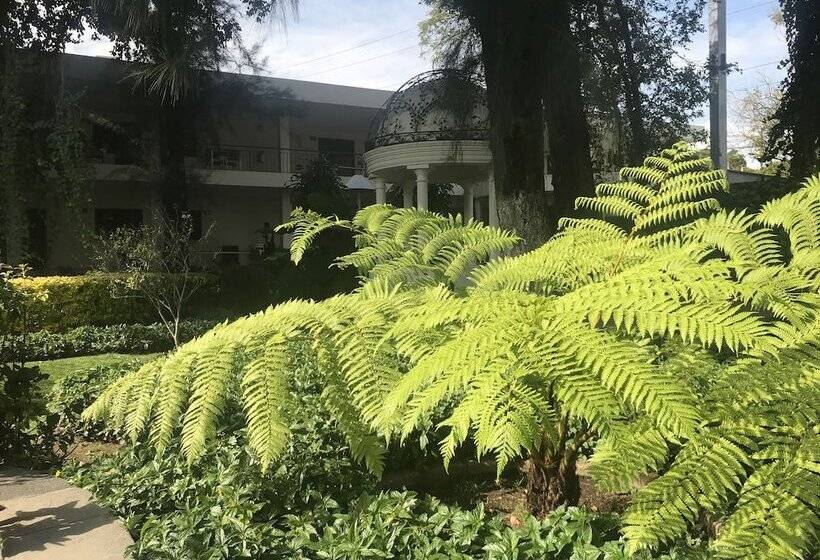 ホテル Ronda Minerva