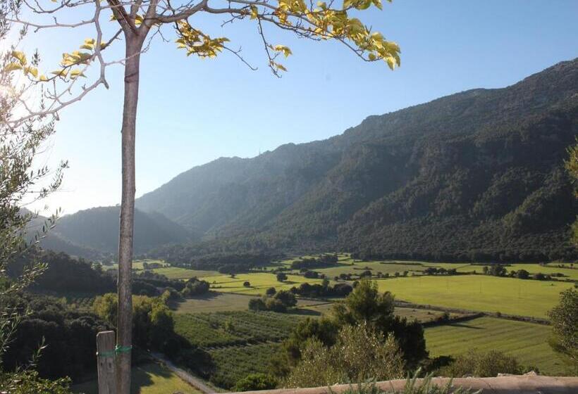 Сельский отель Finca Hotel Son Palou