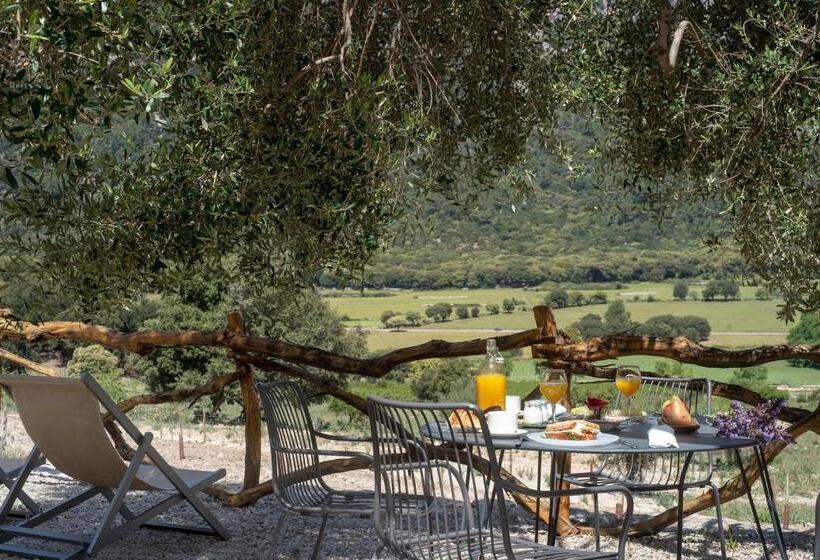 Сельский отель Finca Hotel Son Palou