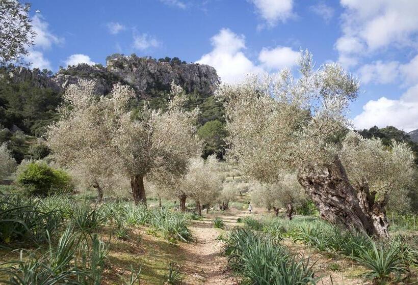 Сельский отель Finca Hotel Son Palou