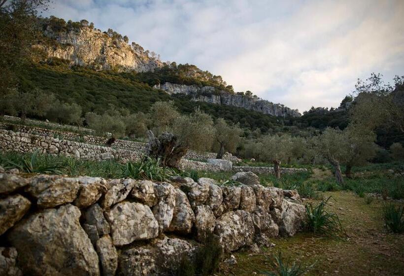 Сельский отель Finca Hotel Son Palou