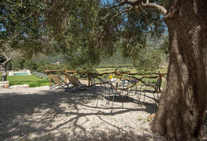 Сельский отель Finca Hotel Son Palou