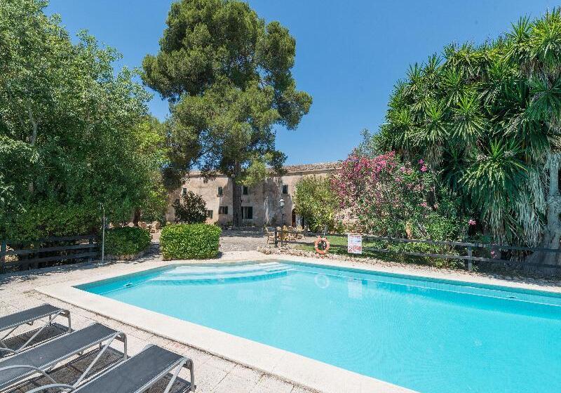 Сельский отель Petit  Rural Son Jorda