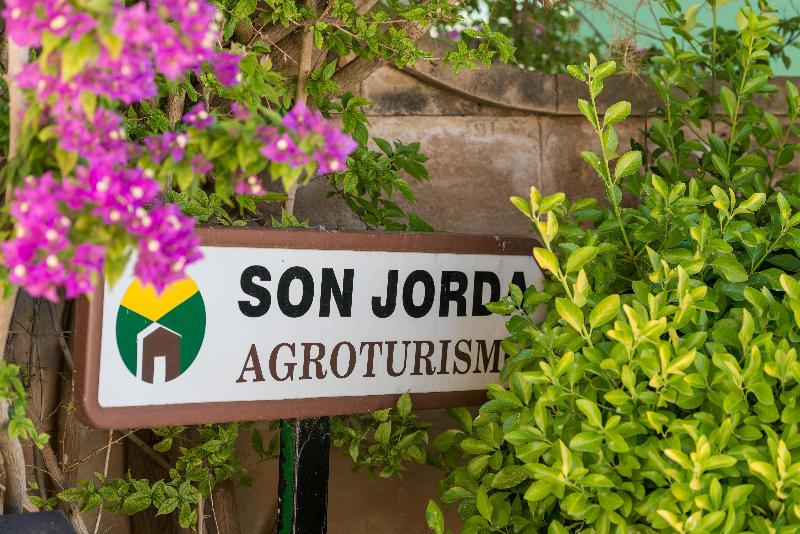 Сельский отель Petit  Rural Son Jorda
