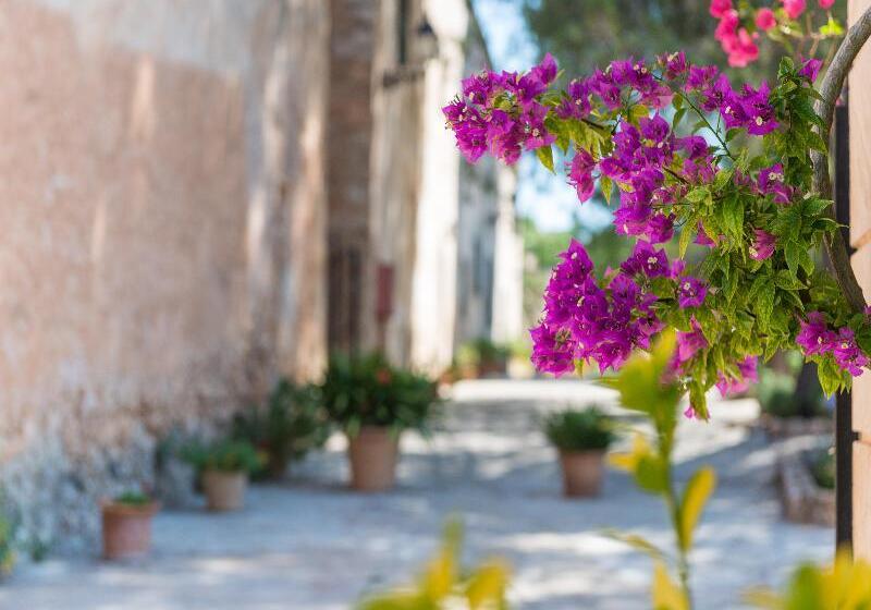 Сельский отель Petit  Rural Son Jorda