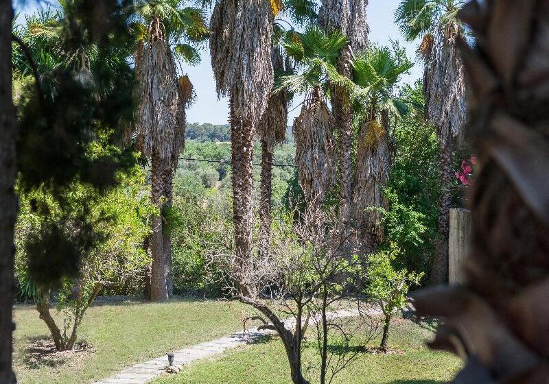 Сельский отель Petit  Rural Son Jorda