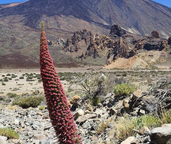 乡村酒店 Rural Finca Salamanca
