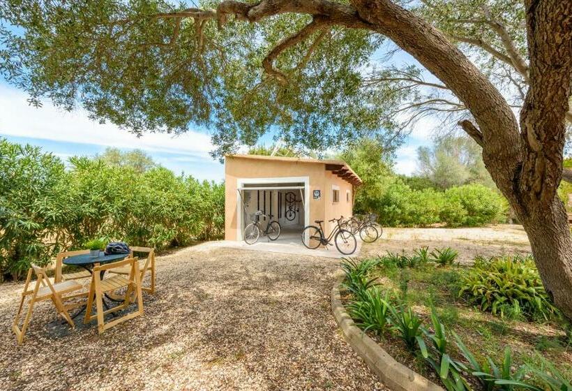 Сельский отель Son Corb Boutique