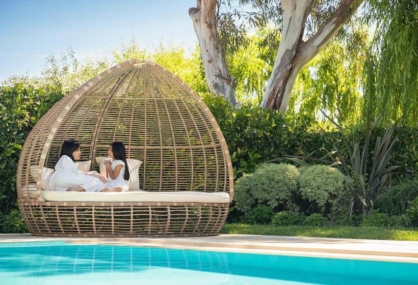 فندق Sani Asterias