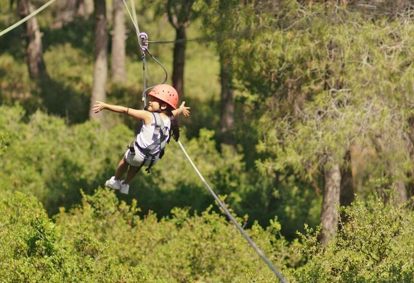 فندق Sani Asterias