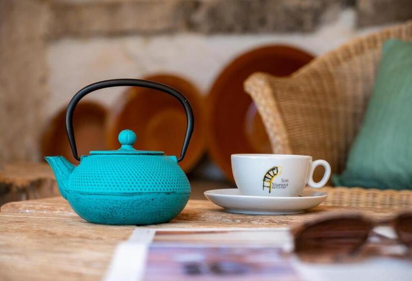 בית מלון כפרי Agroturismo Son Siurana