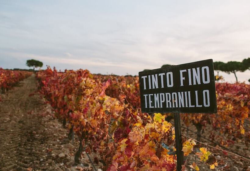 酒店 & Spa Arzuaga