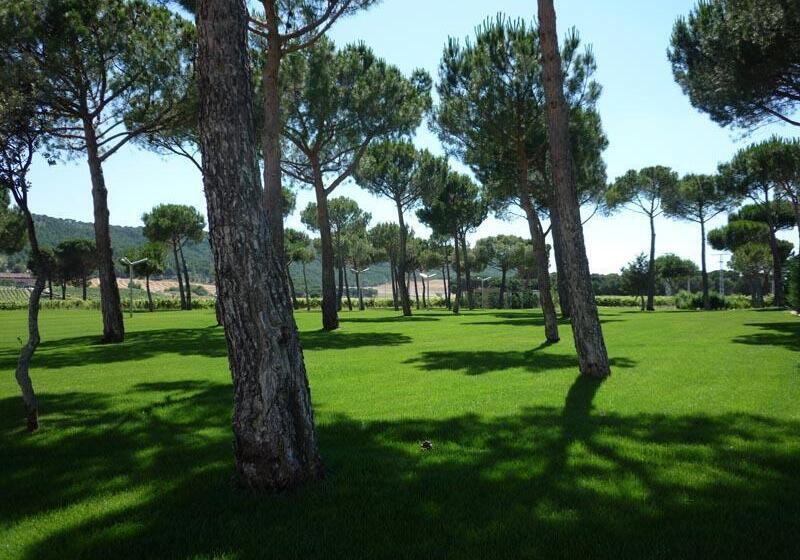 酒店 & Spa Arzuaga