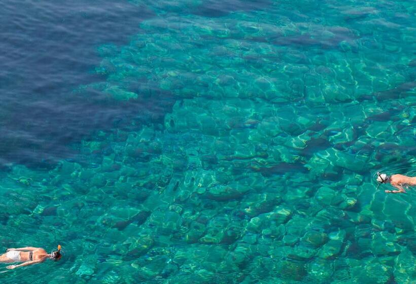 Отель Peninsula Resort & Spa