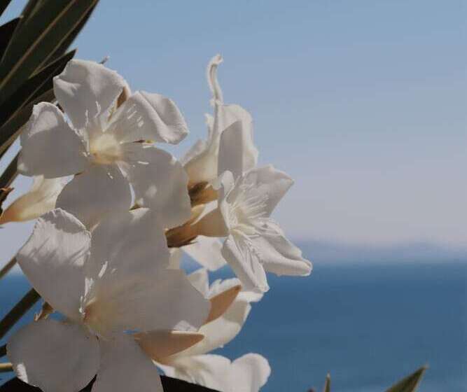 Отель Peninsula Resort & Spa