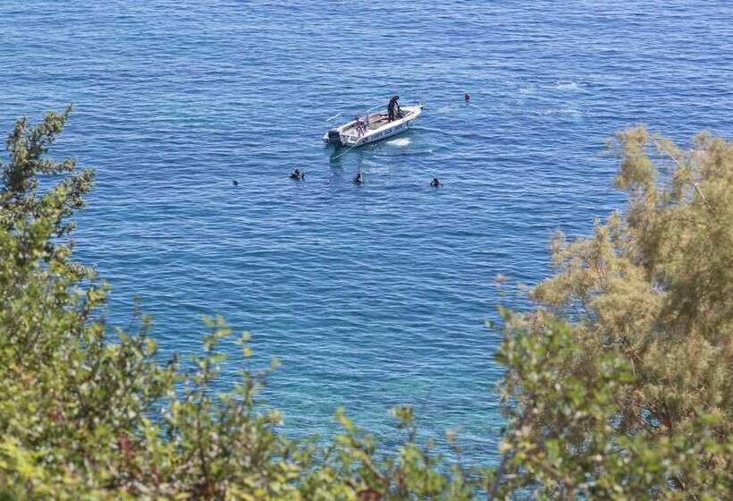 Отель Peninsula Resort & Spa