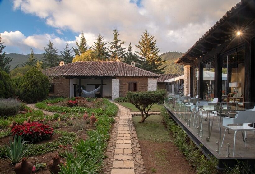 בית מלון כפרי Uvence Arte +