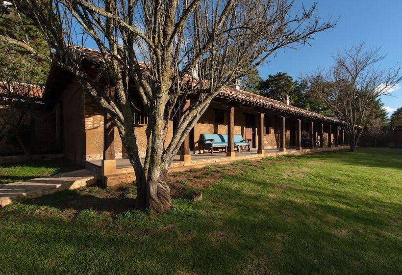 בית מלון כפרי Uvence Arte +