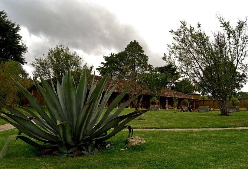 בית מלון כפרי Uvence Arte +