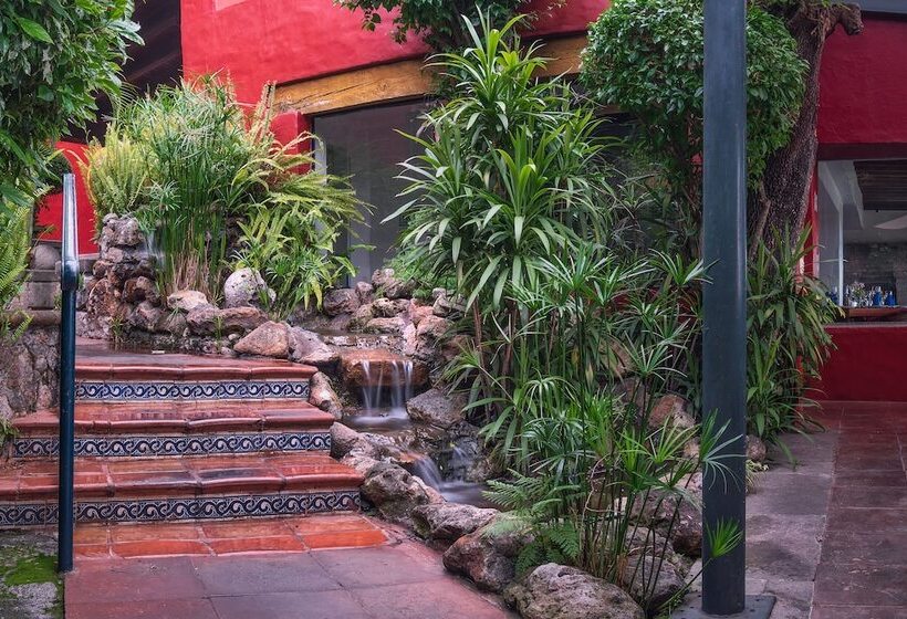 Villa San Jose Hotel & Suites