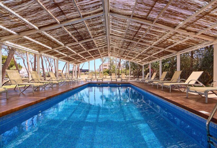 ホテル Zafiro Alzinar Mar- Adults Only