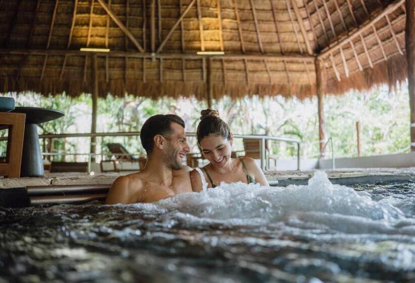 渡假胜地  Hyatt Zilara Riviera Maya Adults Only All Inclusive