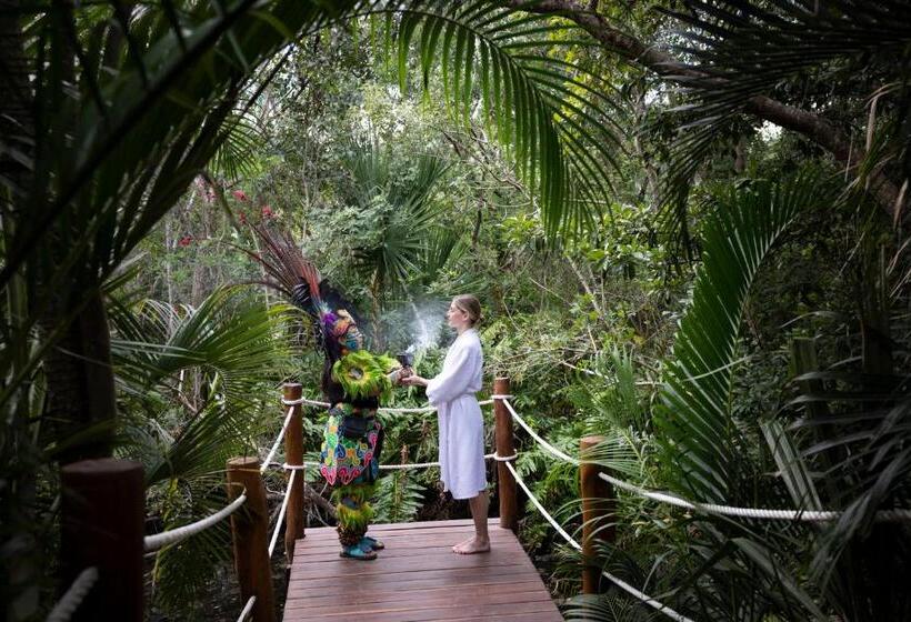 渡假胜地  Hyatt Zilara Riviera Maya Adults Only All Inclusive