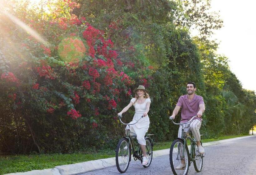 渡假胜地  Hyatt Zilara Riviera Maya Adults Only All Inclusive