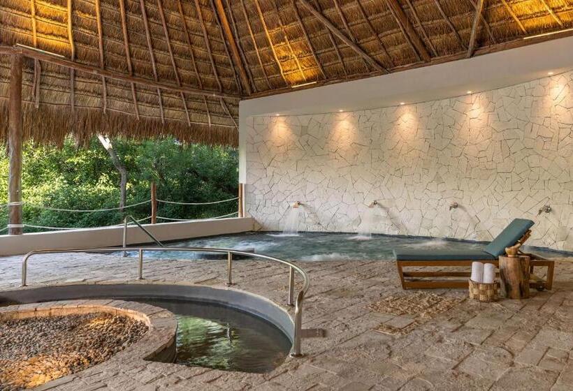 渡假胜地  Hyatt Zilara Riviera Maya Adults Only All Inclusive