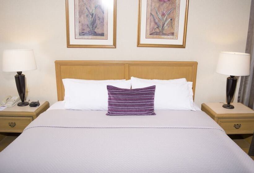 Istay Hotel Ciudad Victoria