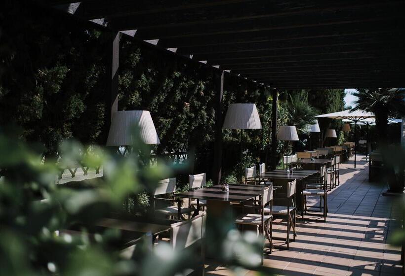 Prinsotel Mal Pas   Adults Only