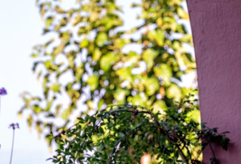 Курорт Blue Sea Beach Affiliated by Melia